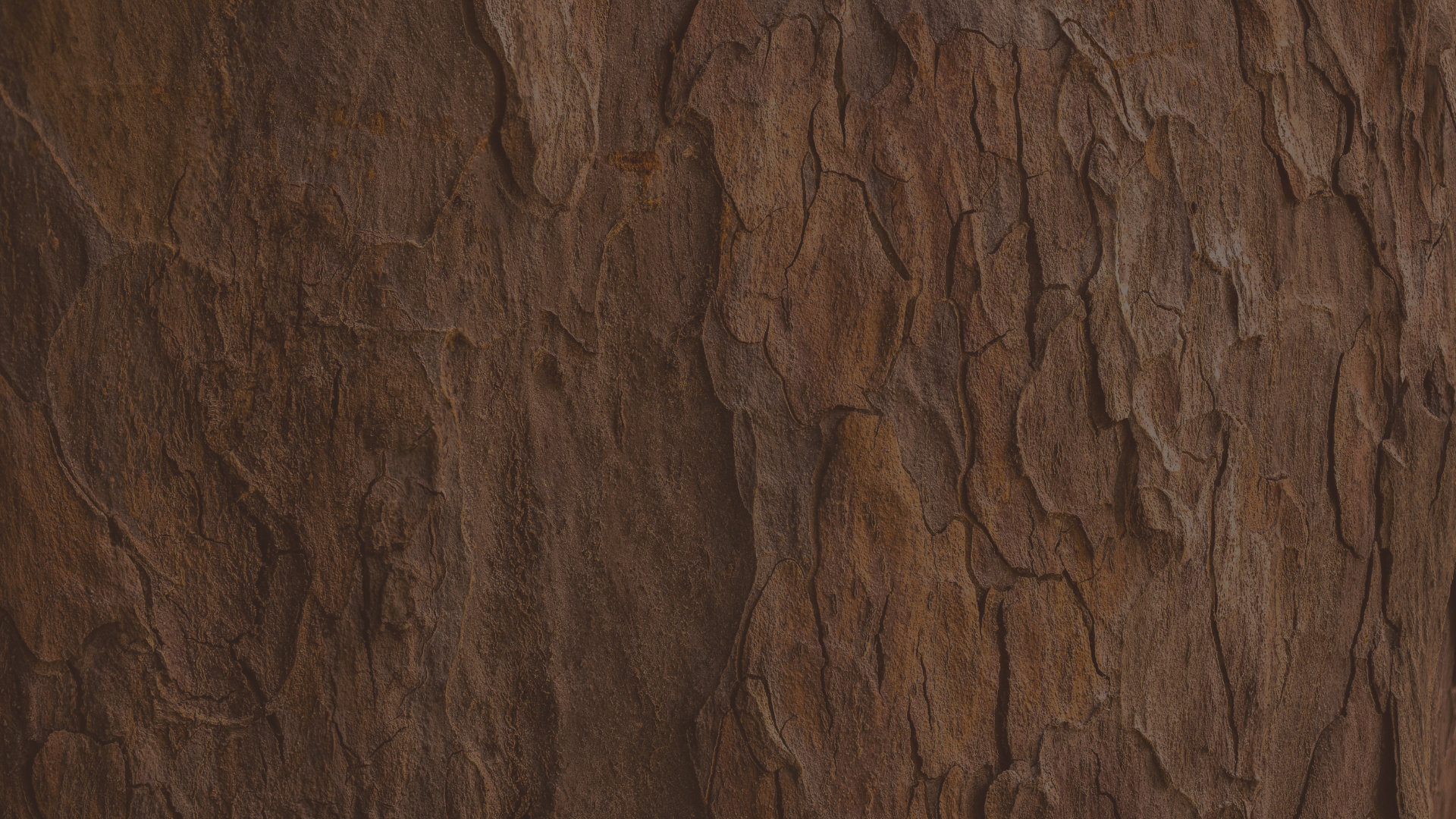 slider image slider_item_JJked8