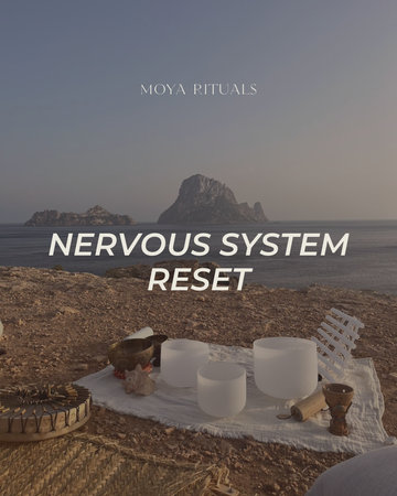 Nervous System Regulation Meditation