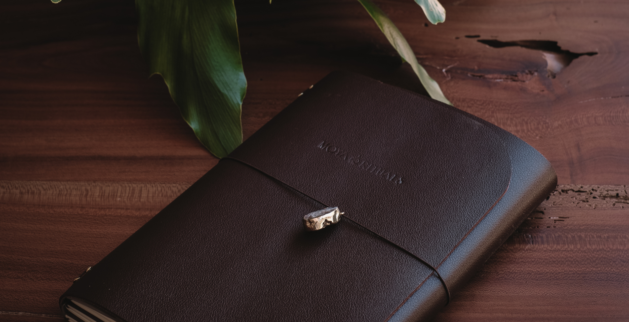 slider image 1621243260e1af0c20-0