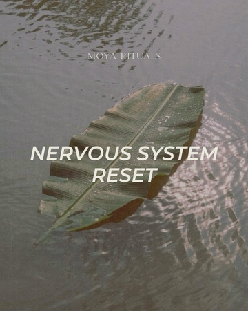 Nervous System Reset Meditation